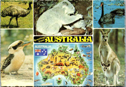 49811 - Australien - Tiere , Mehrbildkarte - Gelaufen 1982 - Andere & Zonder Classificatie