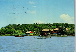 49804 - Venezuela - Sinamaica , Zulia , Rio Limon , Viviendas Lacustres - Gelaufen 1977 - Venezuela