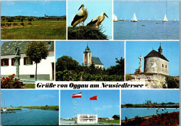 49716 - Burgenland - Oggau , Neusiedlersee , Mehrbildkarte - Gelaufen 1984 - Neusiedlerseeorte