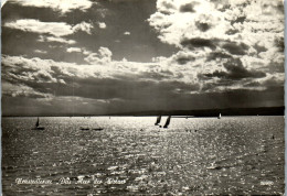 49664 - Burgenland - Neusiedlersee , Das Meer Der Wiener - Gelaufen 1970 - Neusiedlerseeorte