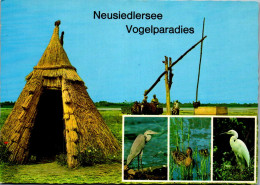 49662 - Burgenland - Neusiedlersee , Vogelparadies - Gelaufen 1984 - Neusiedlerseeorte