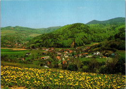 49634 - Burgenland - Stuben , Panorama - Gelaufen  - Oberwart