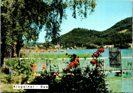 49452 - Kärnten - Klopeinersee , Nördliches Seeufer Mit Georgiberg - Gelaufen 1970 - Klopeinersee-Orte