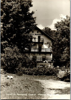 50265 - Steiermark - St. Radegund , Gasthof Pension Haus Moser - Gelaufen 1961 - St. Radegund