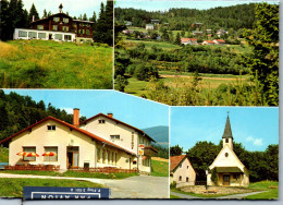 50216 - Steiermark - Schaueregg , Bei Mönichkirchen , Mehrbildkarte , Gasthof - Gelaufen 1981 - Friedberg