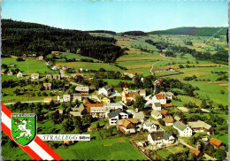 50158 - Steiermark - Strallegg , Panorama , L. Beschädigt - Gelaufen 1969 - Weiz