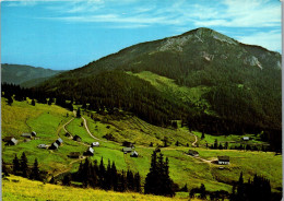 50124 - Steiermark - Turnau , Turnaueralpe Mit Rauschkogel - Gelaufen 1980 - Alfenz