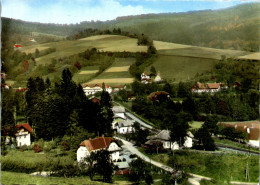 50119 - Steiermark - Tauchen , Bei Mönichkirchen , Panorama - Gelaufen 1966 - Hartberg