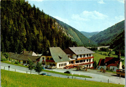 50089 - Steiermark - Seewiesen , Hotel Schuster , Leo U. Grete Schuster - Gelaufen  - Alfenz