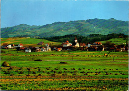 50082 - Steiermark - Wettmannstätten , Panorama - Gelaufen  - Deutschlandsberg