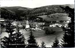 50046 - Steiermark - Rettenegg , Pretulalpe , Panorama - Gelaufen 1967 - Weiz