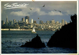 49982 - USA - San Francisco , California , Bay View - Gelaufen 1985 - San Francisco