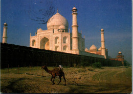 49963 - Indien - Agra , Taj Mahal - Gelaufen  - India