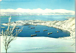 50790 - Norwegen - Narvik , Winter , Tramp Ships At The Fjord - Gelaufen 1974 - Norwegen