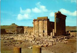 50755 - Syrien - Palmyra , Baaltempel - Gelaufen 1980 - Syrië