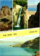 50717 - Israel - Dead See , Zohar Citadel , Ein Gedi , Massada - Gelaufen  - Israele