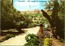 50713 - Israel - Jerusalem , The Garden Of Gethsemane - Gelaufen 1989 - Israel