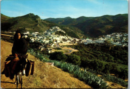 50679 - Marokko - Moulay Idriss , View - Gelaufen 1982 - Fez (Fès)