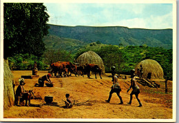 50662 - Südafrika - Natal , Zulus , Zulu At Home - Gelaufen  - Sud Africa