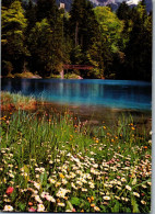 50644 - Schweiz - Bern , Blausee , Lac Bleu , Berner Oberland - Gelaufen 1986 - Berna