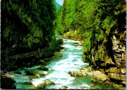 50649 - Deutschland - Breitachklamm , Breitach , Ansicht , Partie - Gelaufen 1984 - Oberstdorf