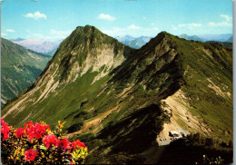 50638 - Vorarlberg - Furkapass , Übergang Rheintal In Den Bregenzerwald - Gelaufen 1975 - Andere & Zonder Classificatie
