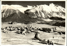 50522 - Schweiz - Celerina , Schlarigna , Oberengadin , Panorama - Gelaufen 1966 - Celerina/Schlarigna