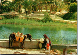 50477 - Tunesien - Gabes , L'Oasis , Oase - Gelaufen  - Tunisia