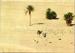 50460 - Tunesien - Sahara , Vers Le Sahara - Gelaufen 1983 - Tunesië