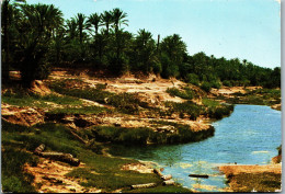 50447 - Tunesien - Gabes , L'Oasis - Gelaufen 1983 - Tunisia