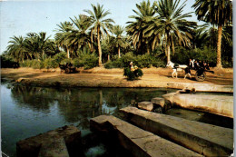 50439 - Tunesien - Tozeur , Le Partage Des Eaux - Gelaufen 1982 - Tunisia