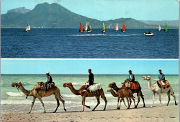 50440 - Tunesien - Motiv , Mehrbildkarte - Gelaufen 1975 - Tunisia