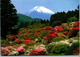 50429 - Japan - Fuji , Mount Fuji  - Gelaufen 1985 - Tokyo