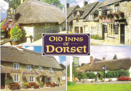 OLD INNS OF DORSET, ENGLAND. UNUSED POSTCARD Ms4 - Other & Unclassified