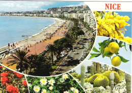 SCENES FROM  NICE, FRANCE. UNUSED POSTCARD Ms4 - Panoramic Views