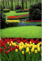 51151 - Niederlande - Lisse , Keukenhof - Gelaufen 1993 - Lisse