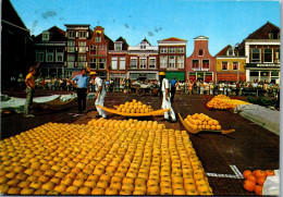 51034 - Niederlande - Alkmaar , Käse , Markt - Gelaufen 1980 - Alkmaar