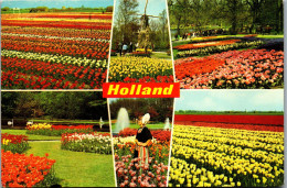 51023 - Niederlande - Blumen , Mehrbildkarte - Gelaufen 1975 - Sonstige & Ohne Zuordnung