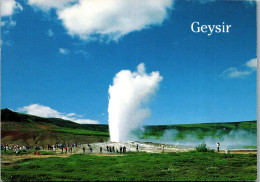 50971 - Island - Geysir , The Great Geysir - Gelaufen 1992 - Islande