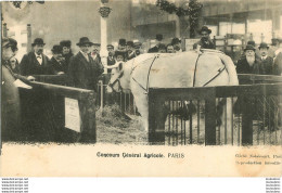 PARIS CONCOURS GENERALE AGRICOLE - Exhibitions