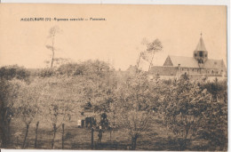 MIDDELBURG = VLAANDEREN  =  ALGEMEEN ZICHT.     PANORAMA.   2 SCANS - Assenede