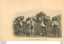 LES VENDANGES EN BOURGOGNE  EDITION E.N.   VIGNE VIGNOBLE - Andere & Zonder Classificatie