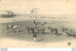 CETTE LA PLAGE  CHEVAUX ATTELAGES - Sete (Cette)