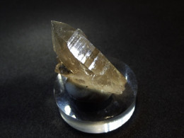 Smokey Quartz  (3 X 2 X 1.5 Cm )  Helsenhorn - Binntal - Switzerland - Minerals