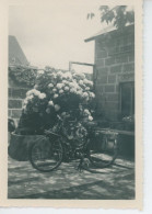 Photo Vélosolex Années 40 - Coches