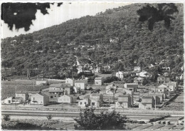 D 83.  CARQUEIRANNE.  LE PARADIS ET LA PINEDE - Carqueiranne