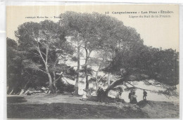 D 83.  CARQUEIRANNE.  LES PINS - Carqueiranne