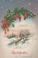 Happy New Year Christmas Vintage Postcard CPSMPF #PKG229.A - Neujahr