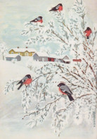 OISEAU Animaux Vintage Carte Postale CPSM #PAM794.A - Birds