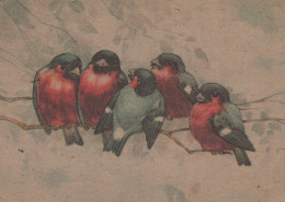 OISEAU Animaux Vintage Carte Postale CPSM #PAM749.A - Birds
